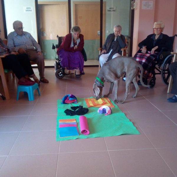 fa6665a6-1a41-4785-92a7-7e9a541cb5af